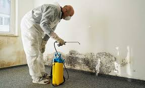 Best Commercial Mold Inspection  in Magnolia, NJ